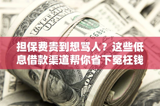 济南担保费贵到想骂人？这些低息借款渠道帮你省下冤枉钱