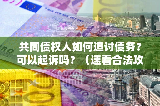济南共同债权人如何追讨债务？可以起诉吗？（速看合法攻略）