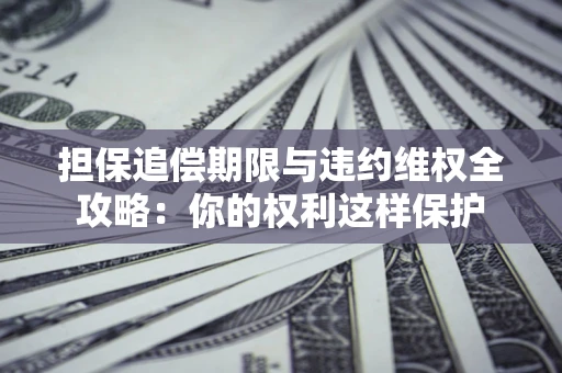 济南担保追偿期限与违约维权全攻略：你的权利这样保护